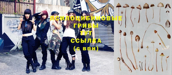 МДПВ Аркадак