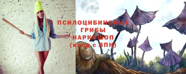 ECSTASY Арсеньев