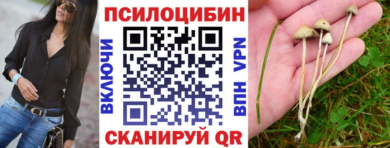 Галлюциногенные грибы GOLDEN TEACHER  где купить наркотик  Урюпинск 